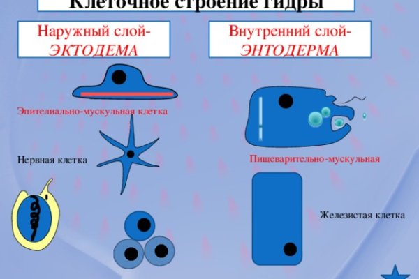 Можно ли восстановить аккаунт в кракен даркнет