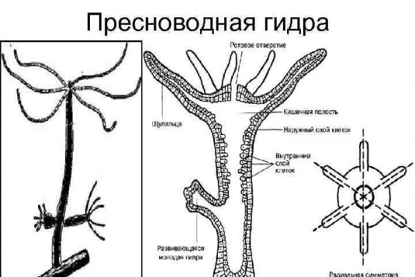 Зайти на кракен