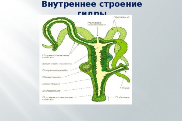 Что продают на сайте кракен