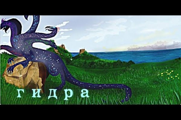 Kraken 24 top