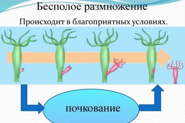 Kraken торговая площадка ссылка